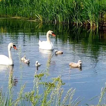 Bed & Breakfast Bed En Brood Donna
