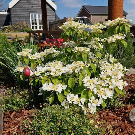 Donna Bed & Breakfast Pijnacker