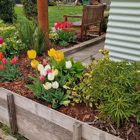 Donna Отель типа 