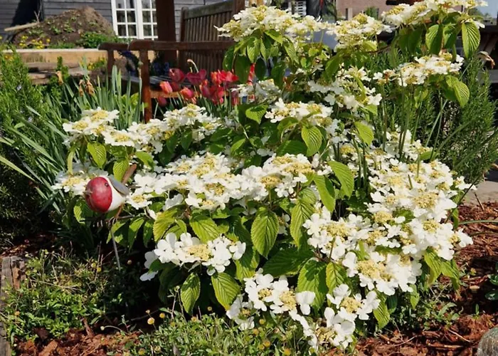 Bed En Brood Donna Couette-café Pijnacker